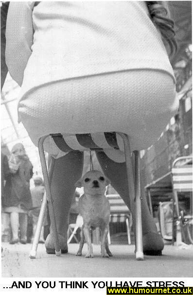 11_05_07_10funnypic18xa2.jpg