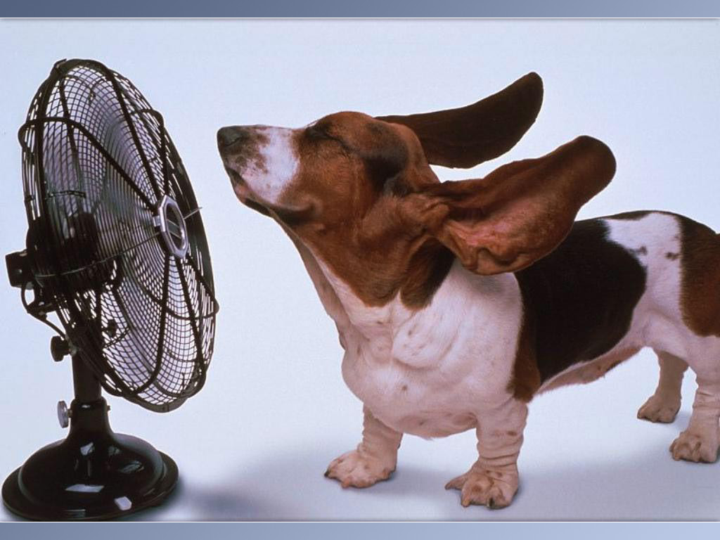 Funny3_Animal-Funny-0004.jpg