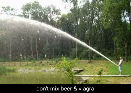 Funny4_125.jpg