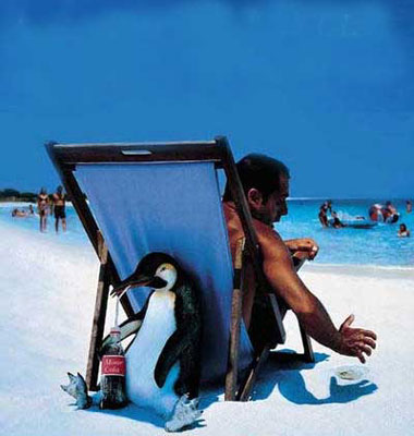 Funny4_Penguin.jpg