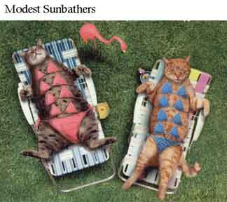 Funny_sunbathers.jpg